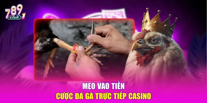Mẹo vào tiền cược đá gà trực tiếp casino